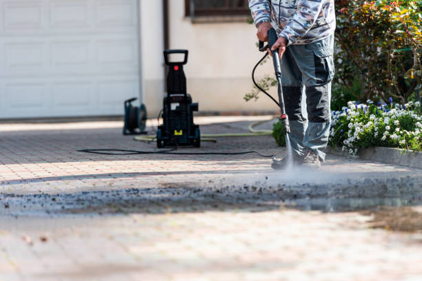Best Exterior Home Cleaning  in Wheaton, MN